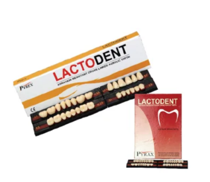 Picture of LACTODENT : Cross Linked Acrylic Teeth - Set of 6