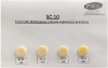 Picture of SC-10 for Crown & Bridge (VITA SHADES) - 55 gms