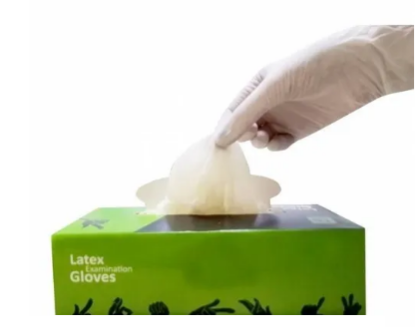 Picture of Latex Examination Gloves - Medium ( Powder Free )  - 100 Pcs / Box