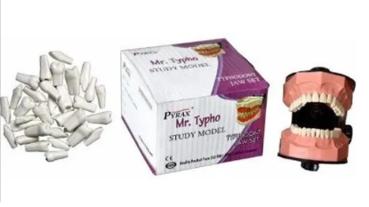 Picture of Pyrax Typhononts Jaw Set with Articulator - 1 Set