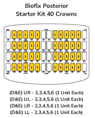 Picture of Bioflx Posterior Starter Kit 40 Crowns