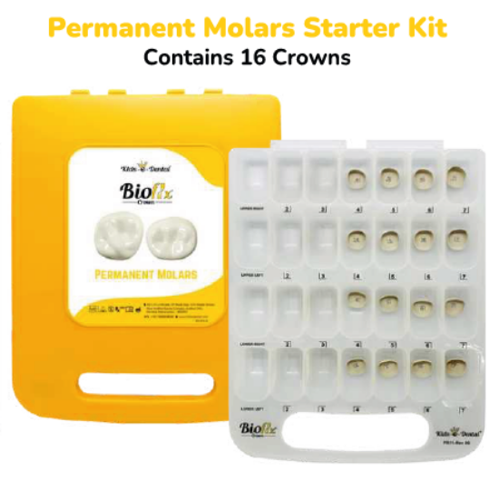 Picture of Permanenant Molars Starter Kit - Contains 16 Crowns