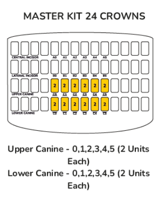 Picture of Anterior Kit - Canine Master Kit 24 Crowns 