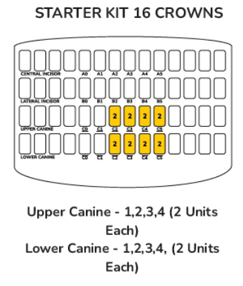 Picture of Anterior Kit - Canine Starter Kit 16 Crowns  