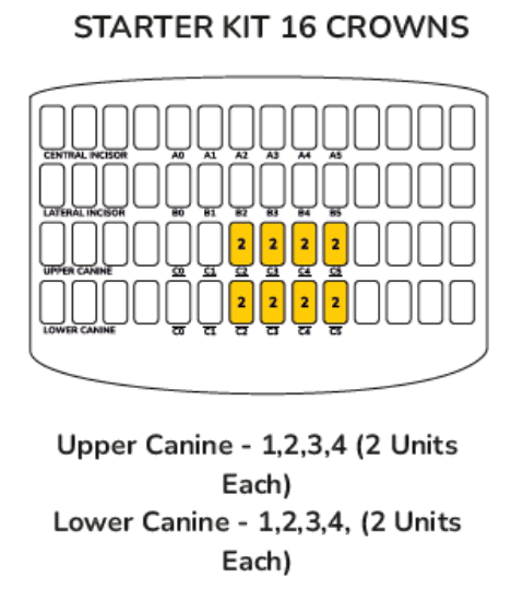 Picture of Anterior Kit - Canine Starter Kit 16 Crowns  