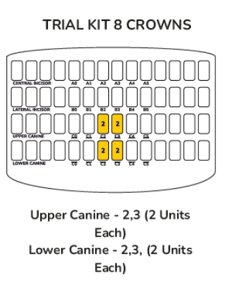 Picture of Anterior Kit - Canine Trial Kit 8 Crowns