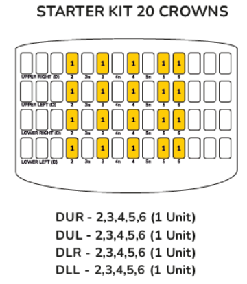 Picture of Posterior First Molar - Starter Kit 20 Crowns 