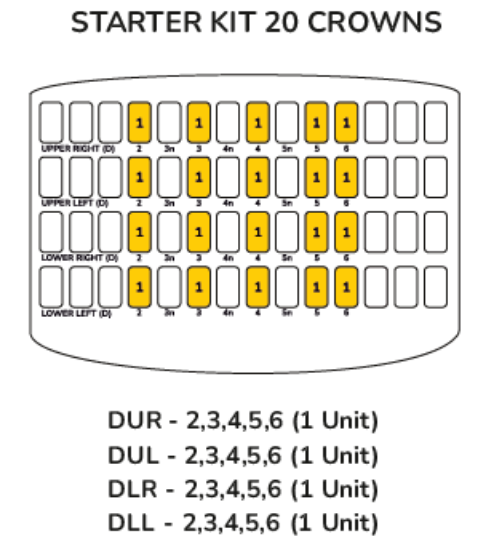 Picture of Posterior First Molar - Starter Kit 20 Crowns 
